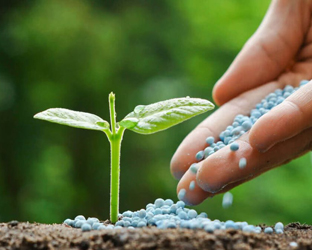 NyLan BioGreen Energy Ltd