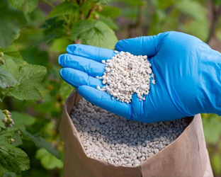 NyLan BioGreen Energy Ltd